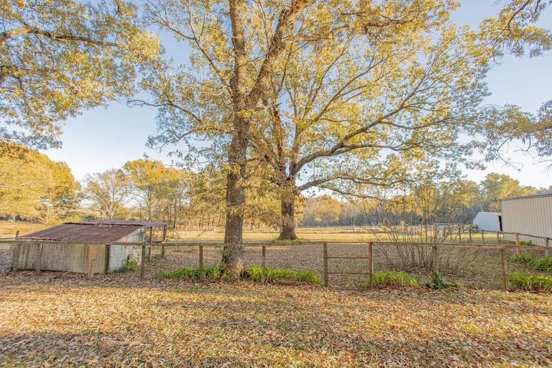 12575 Fm 3271, Tyler TX 75704 - Photo 10