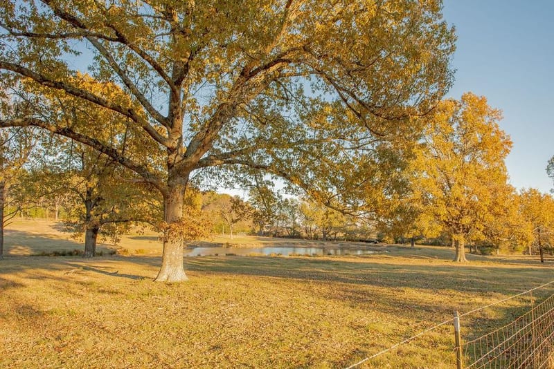 12575 Fm 3271, Tyler TX 75704 - Photo 40