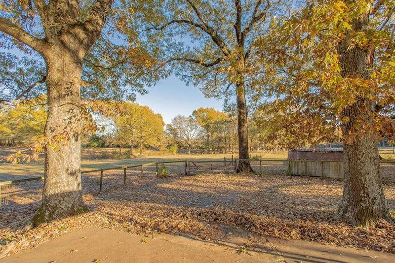 12575 Fm 3271, Tyler TX 75704 - Photo 8