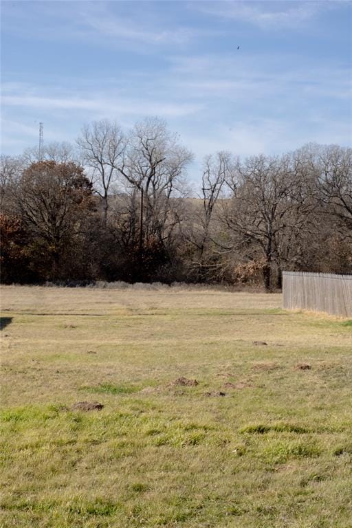 145 Firefly Drive, Springtown TX 76082 - Photo 6