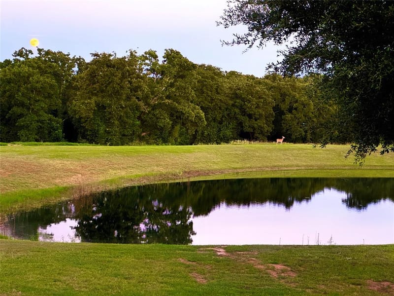 1561 Fm 934, Blum TX 76627 - Photo 36