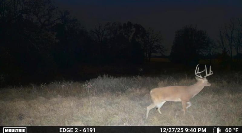 1561 Fm 934, Blum TX 76627 - Photo 33
