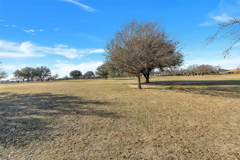 801 Holiday Hills Drive, Mineral Wells TX 76067 - Photo 28