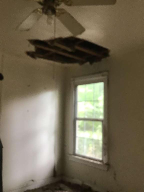 1847 Cook Street, Shreveport LA 71101 - Photo 13