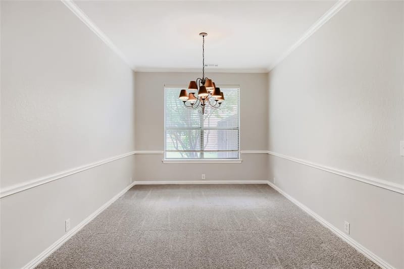 10924 Coralberry Drive, Frisco TX 75033 - Photo 19