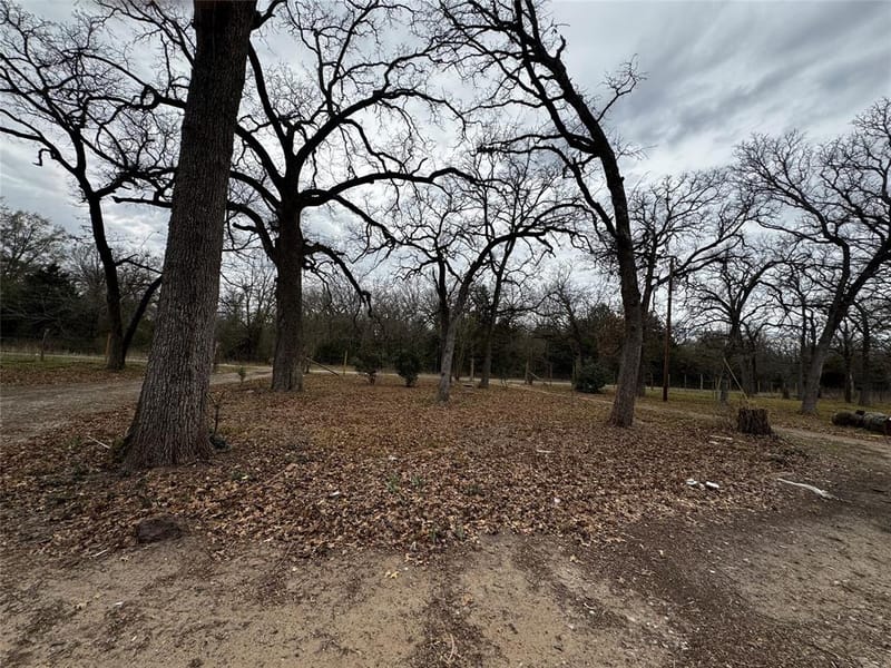 1101 County Road 2405, Kemp TX 75143 - Photo 24