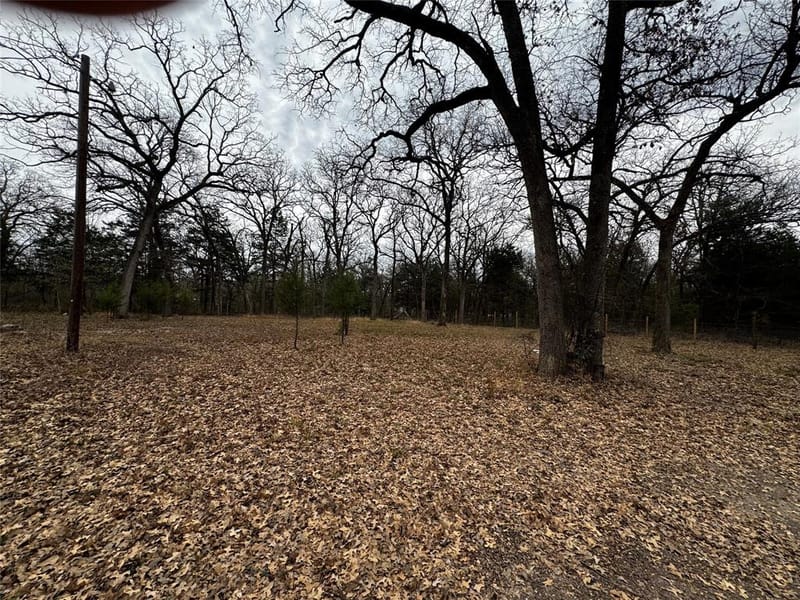 1101 County Road 2405, Kemp TX 75143 - Photo 11