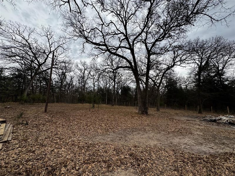 1101 County Road 2405, Kemp TX 75143 - Photo 25