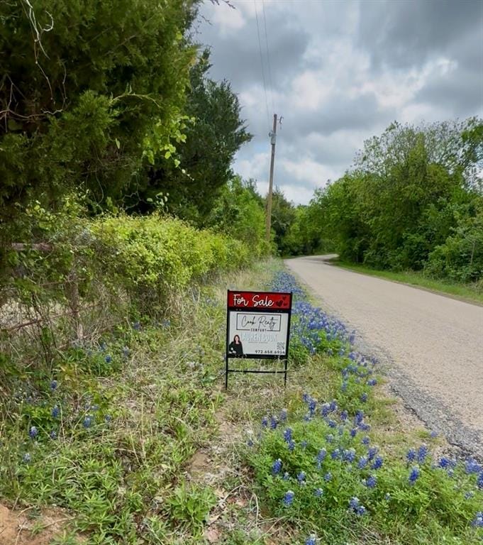 TBD 5 Slate Rock Road, Ennis TX 75119 - Photo 3