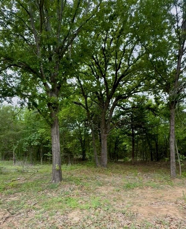 TBD 5 Slate Rock Road, Ennis TX 75119 - Photo 21