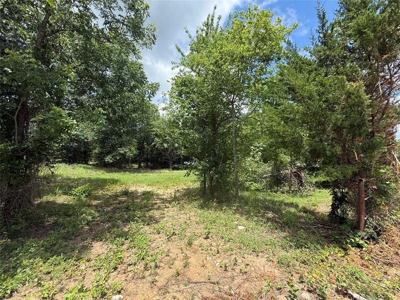 TBD 4 Slate Rock Road, Ennis TX 75119 - Photo 5