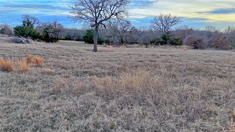 584 W Alamo Road, Bowie TX 76230 - Photo 35