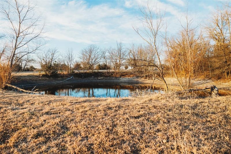 6078 E Line Road, Whitewright TX 75491 - Photo 26