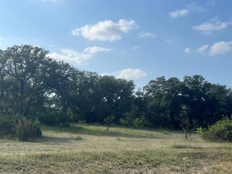 149 Comanche Hills, Comanche TX 76442 - Photo 3