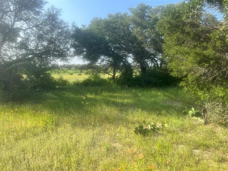 149 Comanche Hills, Comanche TX 76442 - Photo 36
