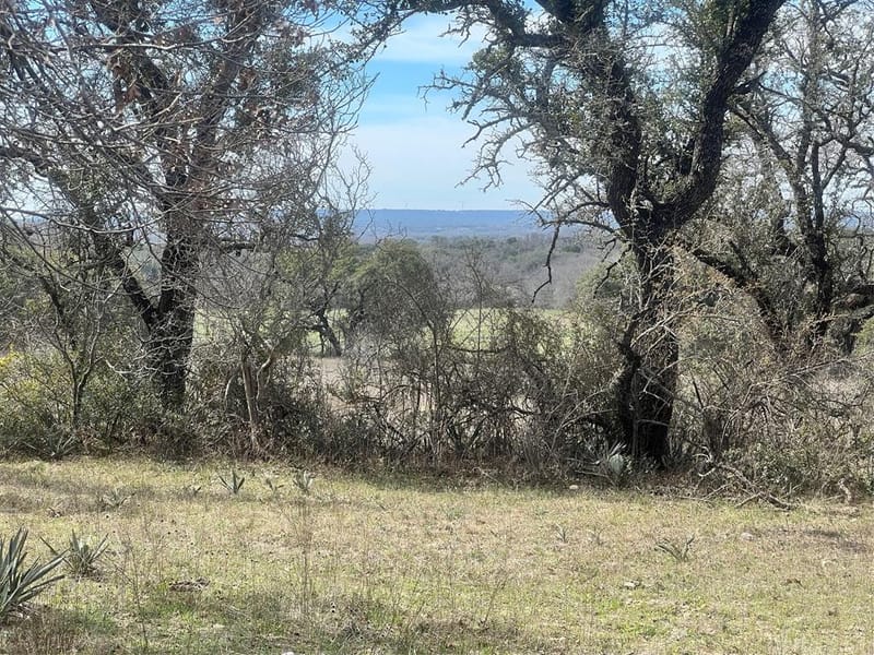 149 Comanche Hills, Comanche TX 76442 - Photo 30