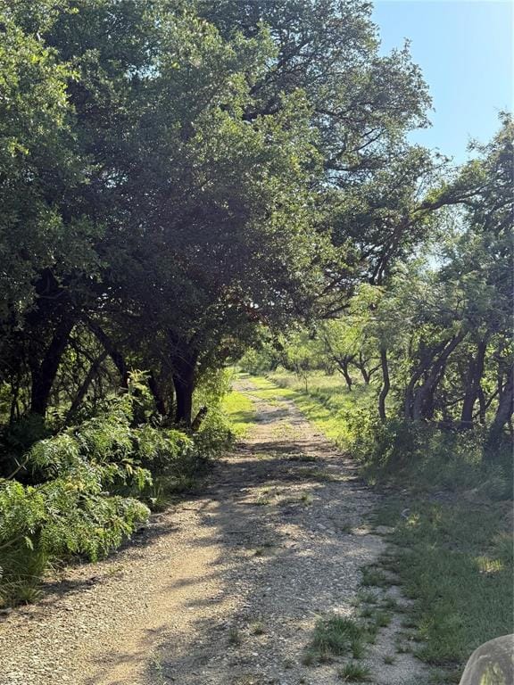149 Comanche Hills, Comanche TX 76442 - Photo 33