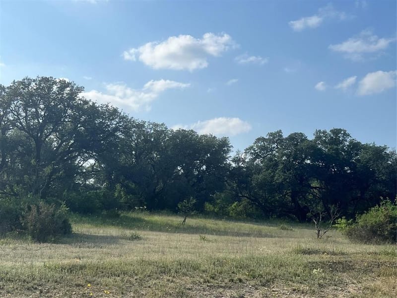 149 Comanche Hills, Comanche TX 76442 - Photo 37