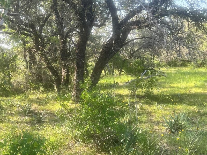 149 Comanche Hills, Comanche TX 76442 - Photo 35