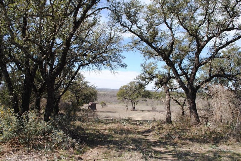 149 Comanche Hills, Comanche TX 76442 - Photo 31