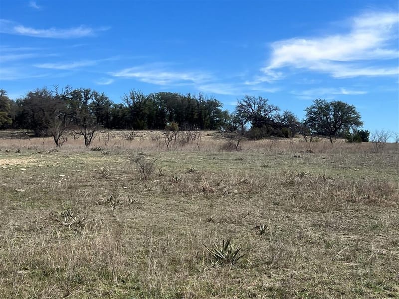 149 Comanche Hills, Comanche TX 76442 - Photo 8