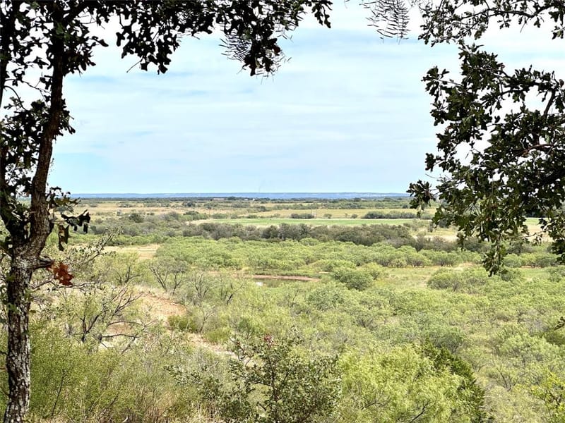 8982 County Road 149, Brownwood TX 76801 - Photo 23