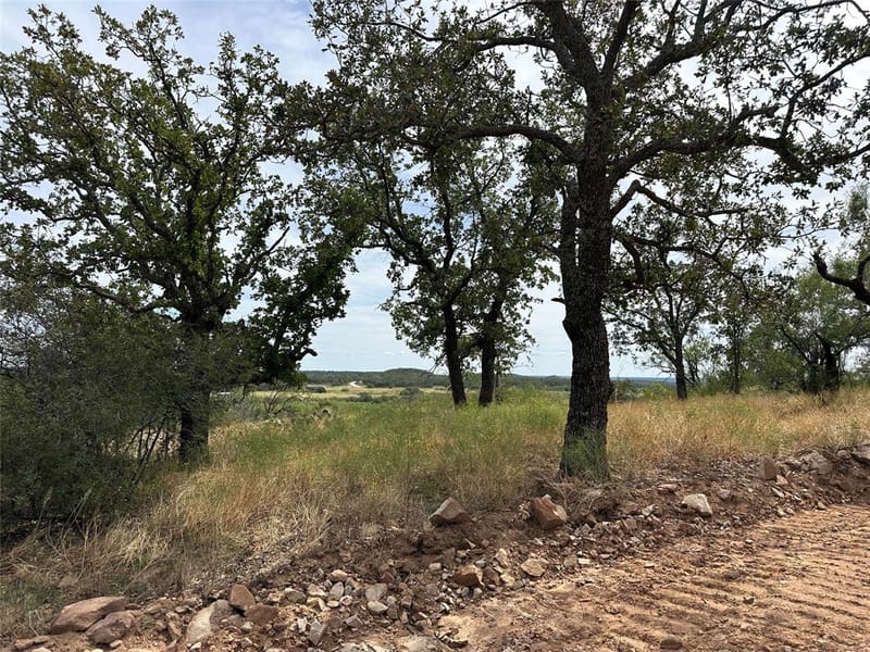8982 County Road 149, Brownwood TX 76801 - Photo 6