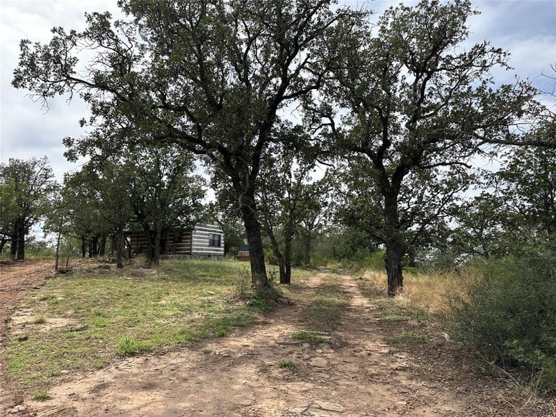 8982 County Road 149, Brownwood TX 76801 - Photo 5