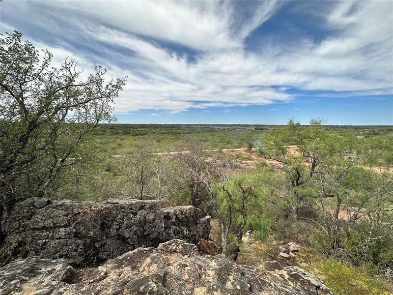 8982 County Road 149, Brownwood TX 76801 - Photo 30