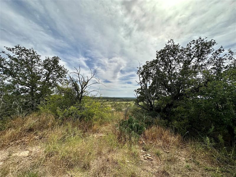 8982 County Road 149, Brownwood TX 76801 - Photo 34