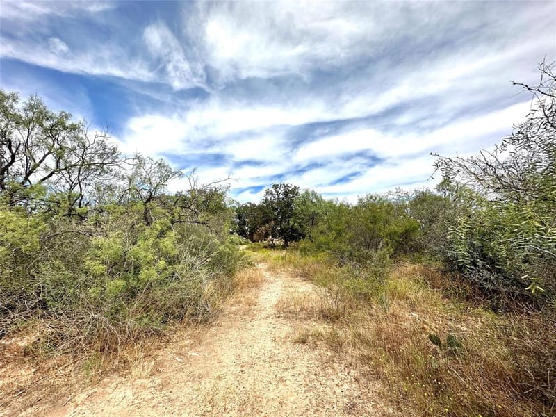 8982 County Road 149, Brownwood TX 76801 - Photo 35