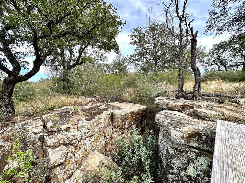 8982 County Road 149, Brownwood TX 76801 - Photo 31