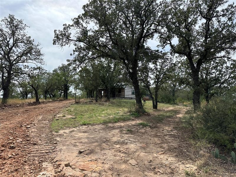 8982 County Road 149, Brownwood TX 76801 - Photo 4
