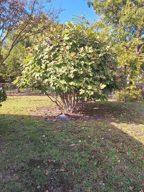 326 E Ferndale Lane, Grand Prairie TX 75052 - Photo 26