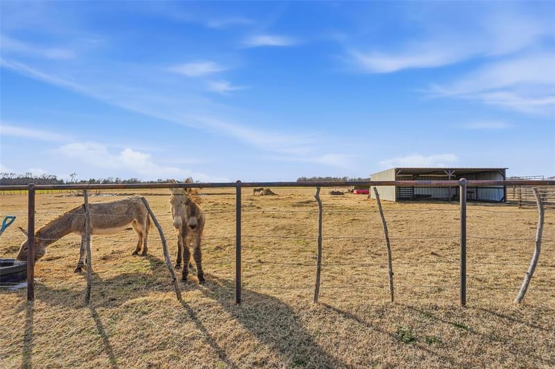 10917 County Road 290, Anna TX 75409 - Photo 33