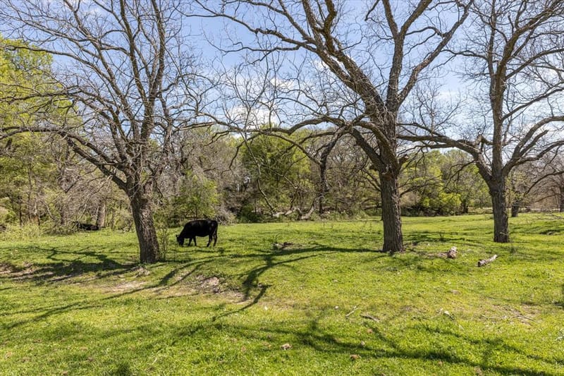 9885 County Road 270, Hico TX 76457 - Photo 15