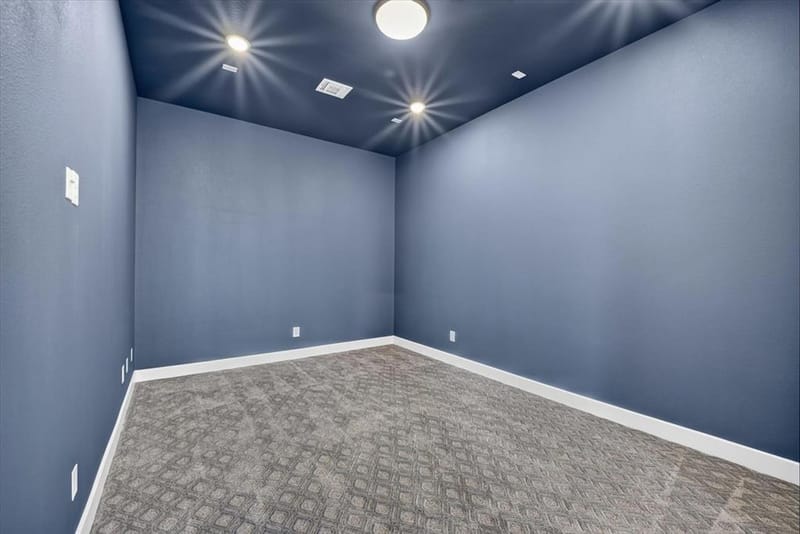 3201 Midnight Dream Court, Celina TX 75009 - Photo 19