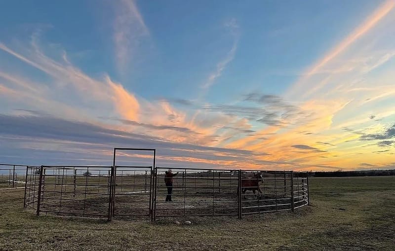 8928 County Road 1232, Godley TX 76044 - Photo 37