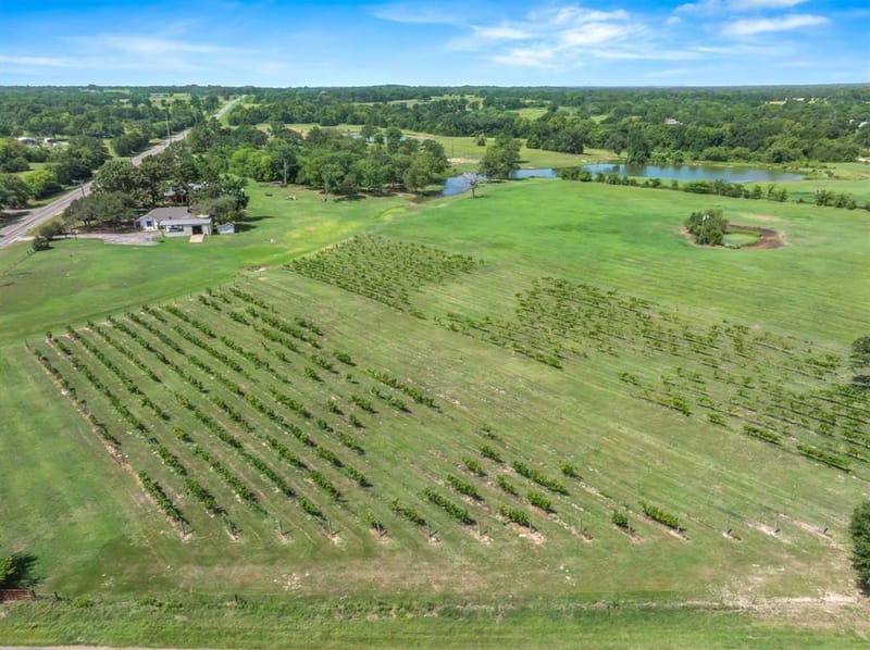 5518 State Highway 198, Canton TX 75103 - Photo 2