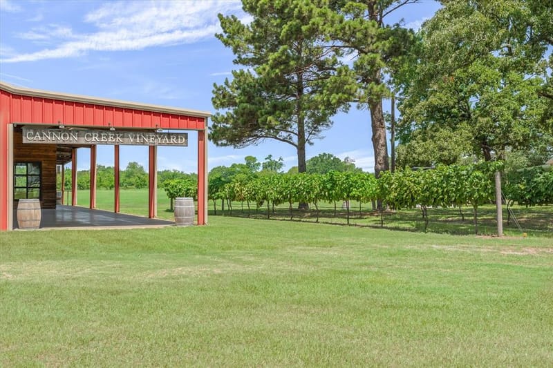 5518 State Highway 198, Canton TX 75103 - Photo 8