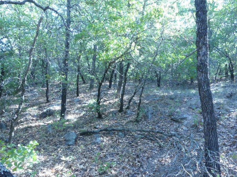 1746 Dog Kennel Road, Sunset TX 76270 - Photo 23