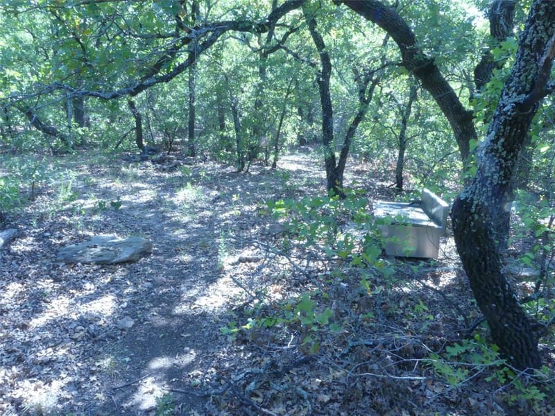1746 Dog Kennel Road, Sunset TX 76270 - Photo 28