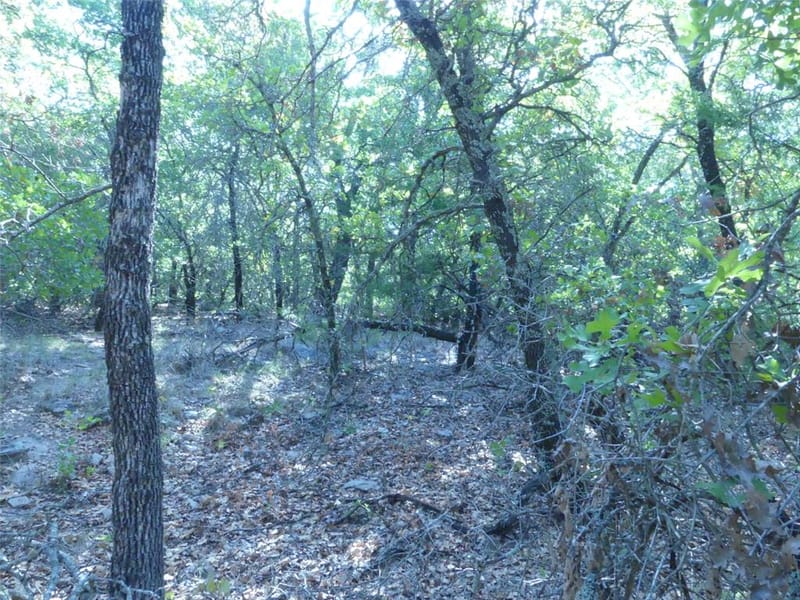 1746 Dog Kennel Road, Sunset TX 76270 - Photo 24