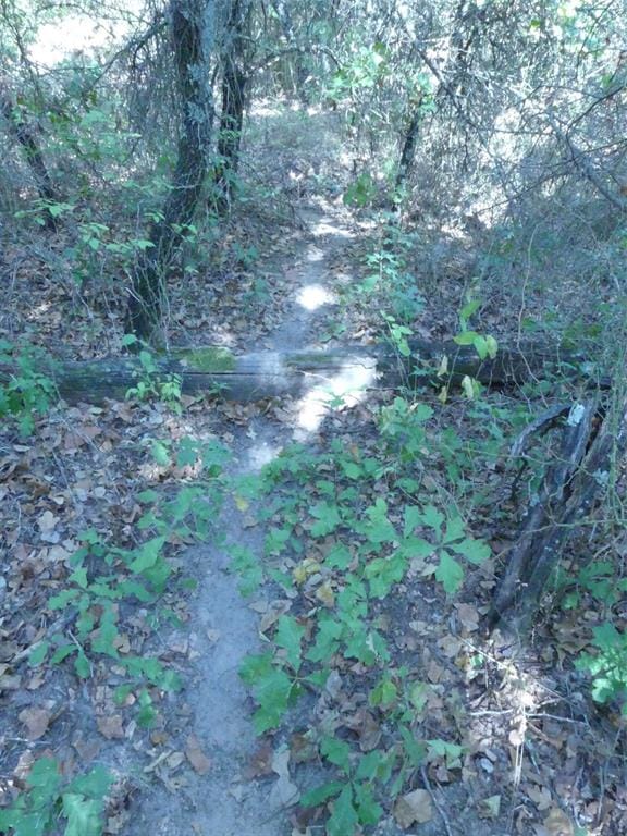 1746 Dog Kennel Road, Sunset TX 76270 - Photo 15