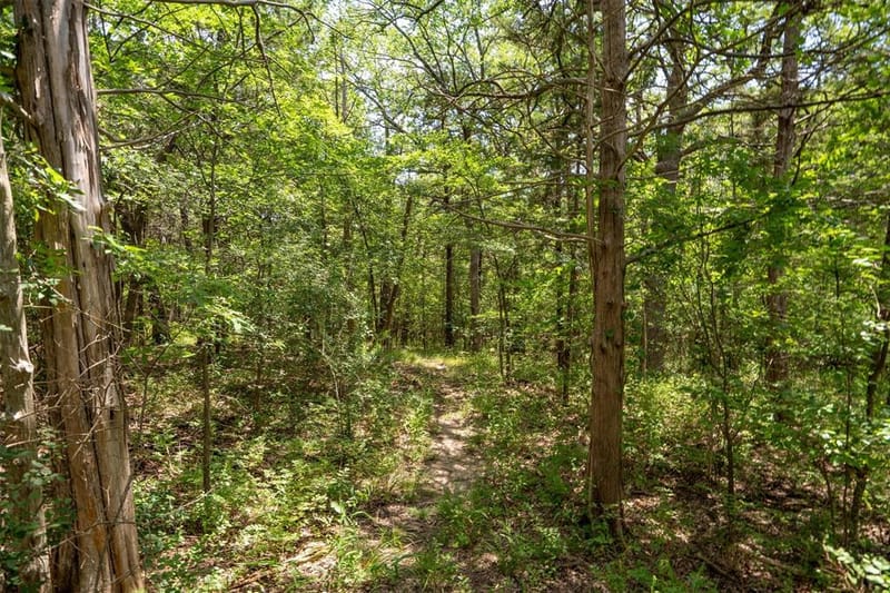 75 Lakepoint Loop, Pottsboro TX 75076 - Photo 18