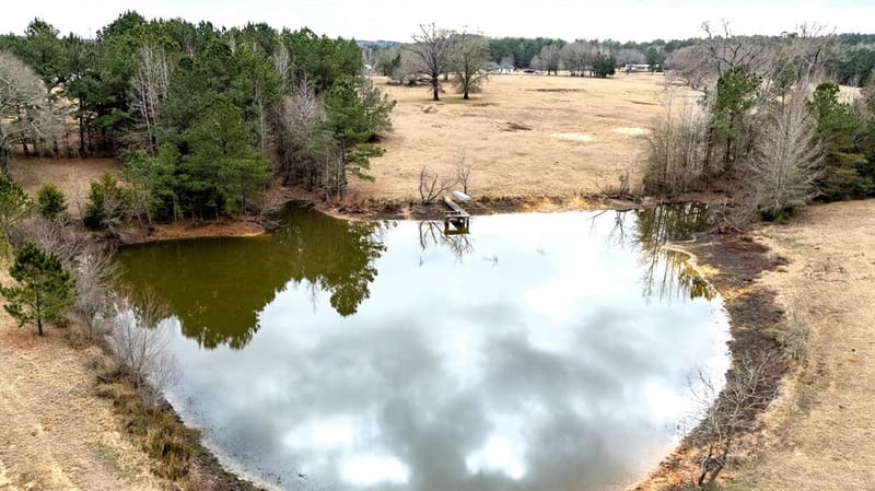 12987 County Road 452, Lindale TX 75771 - Photo 10