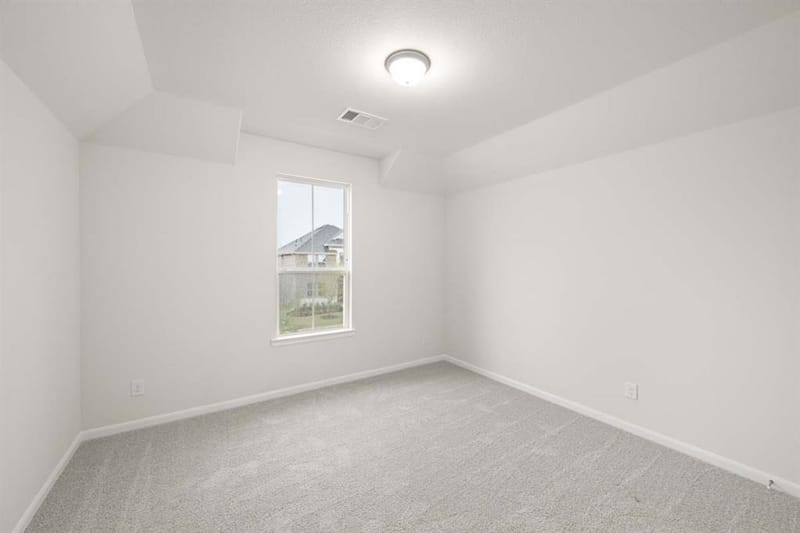 1013 Birkdale Drive, Justin TX 76247 - Photo 21