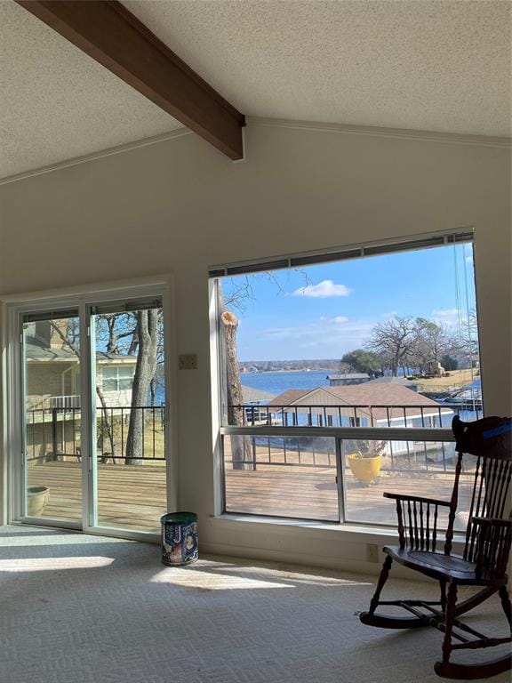 207 Kiowa Drive W, Lake Kiowa TX 76240 - Photo 11