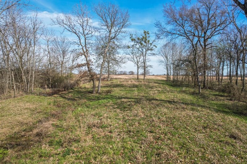 1960 County Road 1030, Mount Vernon TX 75457 - Photo 27