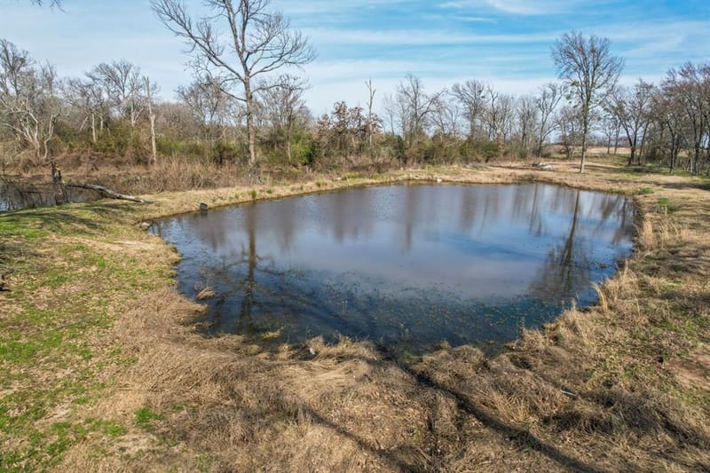 1960 County Road 1030, Mount Vernon TX 75457 - Photo 26